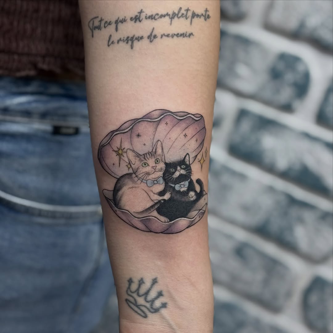 kedi
